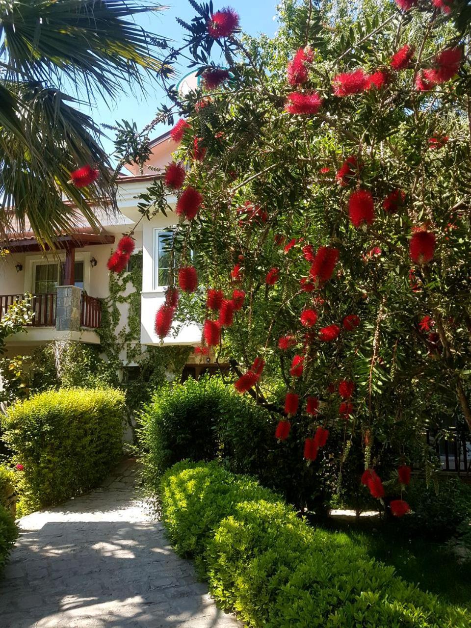 Hotel Dalos Гьочек Екстериор снимка